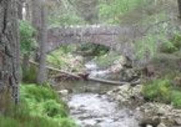 Glen Tanar. Picture: submitted
