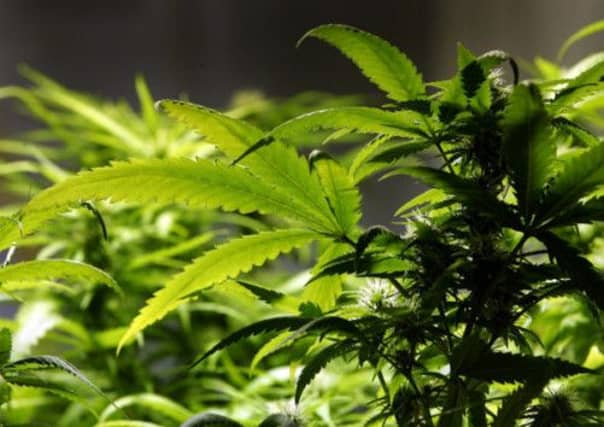 A father-of-three has been jailed after 93kg of cannabis and 10kg of amphetamine were discovered in his flat. Picture: Getty