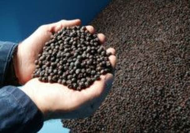 Most gin consumed in Britain is made from Mediterranean juniper berries. Picture: contributed