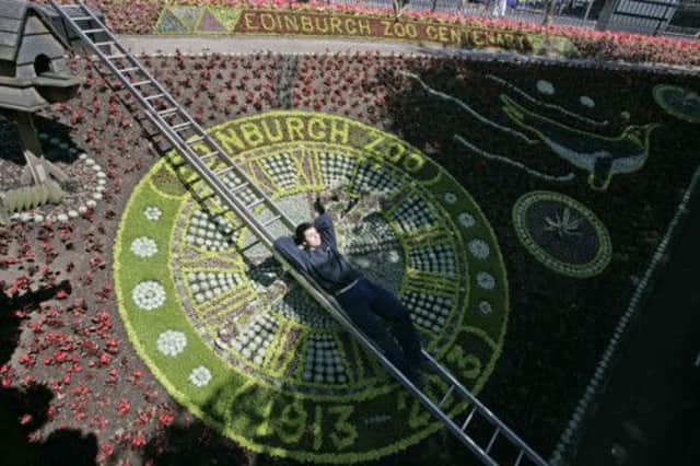 The finished Edinburgh floral clock. Picture: Toby Williams