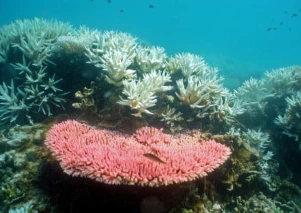 The bombs were dropped in the Great Barrier Reef Marine Park. Picture: Getty