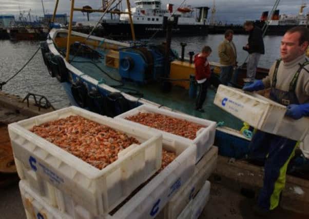 Prawn boats in Mallaig return with their catch. Picture: Stephen Mansfield/TSPL