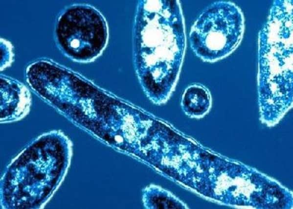 Two more cases of Legionnaires' disease in the Renfrew area have been confirmed