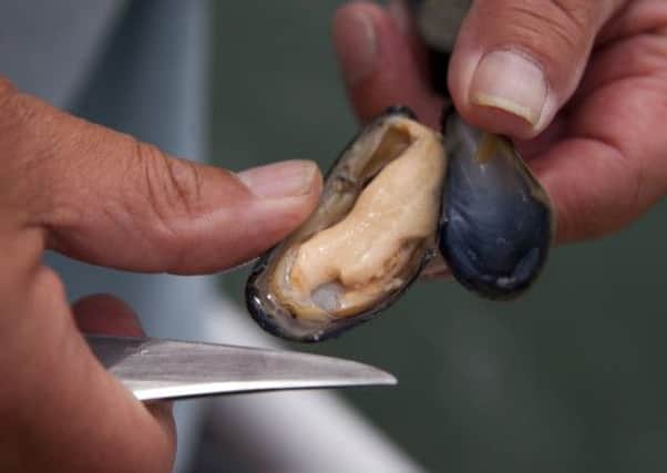 Shetland mussels have been withdrawn from the market. Picture: Getty