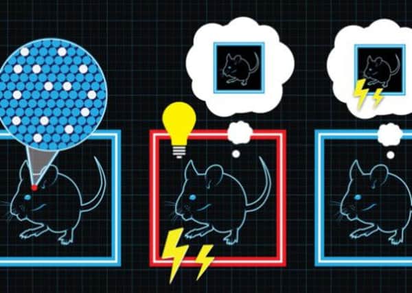 A cartoon representation of how false memories were created in the brains of mice produced by the team behind the experiment. Picture: MIT/PA