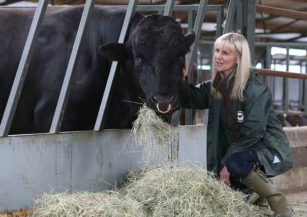 Martine Altajir with Thor the bull on Blackford Farm, where they will produce Japanese Wagyu beef. Picture: PA