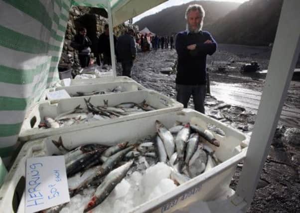 The British pelagic industry has called on the EU to block exports from the Faroe Islands of herring and mackerel to Europe. Picture: Getty