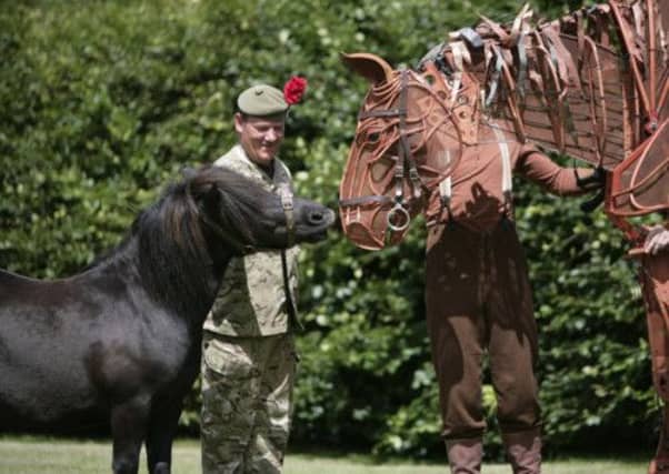 War Horse's Joey meets CruachanIV at Tattoo rehearsals. Picture: Toby Williams