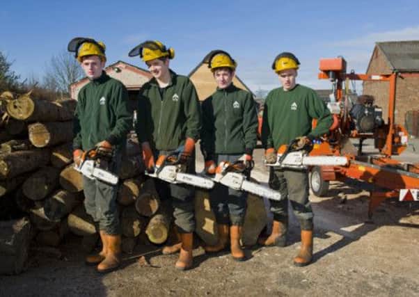 Chainsaw training is included on the forestry course