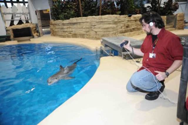 Jason Bruck pictured working with a dolphin at the Brookfield Zoo near Chicago. Picture: Jim Schulz/Chicago Zoological Society