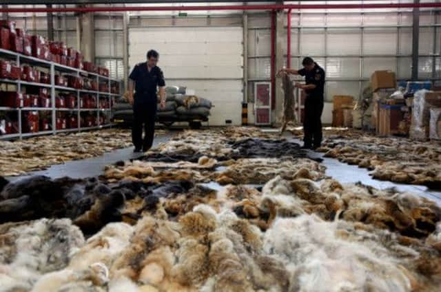 Officials check wolf skins at a customs inspection centre in Beijing international airport. A firm in Beijing is suspected of smuggling 645 wolf skins from Greece              Picture: Getty