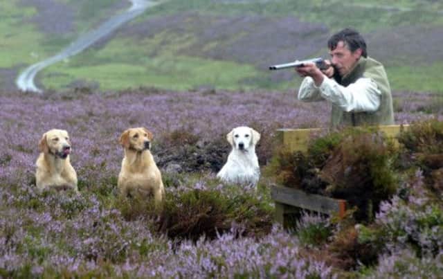 Getting ready for the big day: Three gundogs wait patiently as a gamekeeper in the Lammermuir Hills checks his sights. Picture: Phil Wilkinson