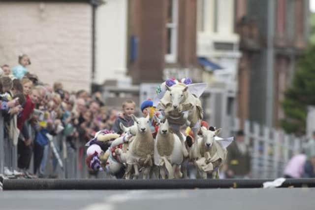 Moffat held its second annual sheep race. Picture: Mick McGurk