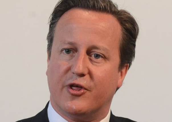 David Cameron has been described as 'dumb' by Argentine diplomat Alicia Castro. Picture: Neil Hanna