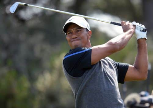 Tiger Woods. Picture: Ian Rutherford