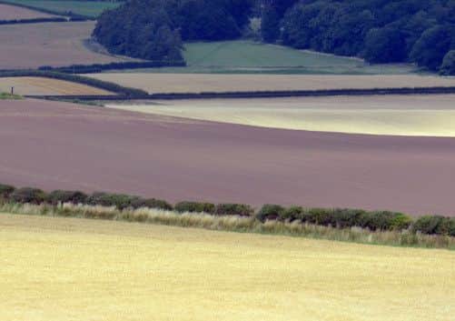 The average price per acre of land reached £4,438. Picture: Phil wilkinson