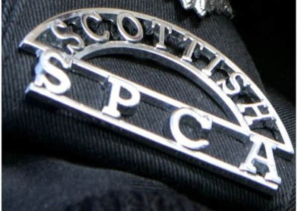 The SSPCA are appealing for information. Picture: SSPCA