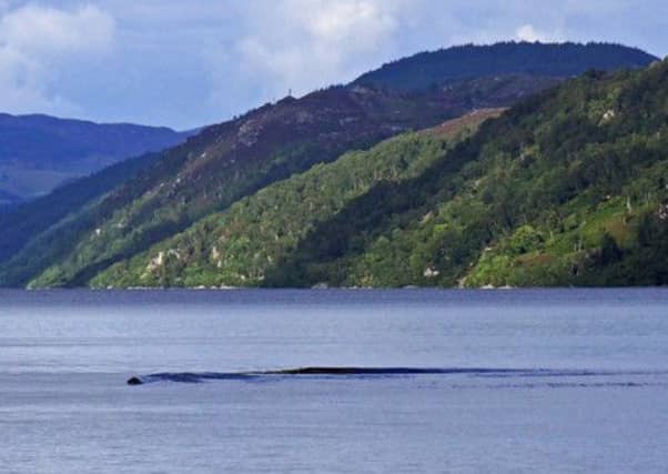 The photograph showing a 'solid object' under the water. Picture: David Elder/KNS News