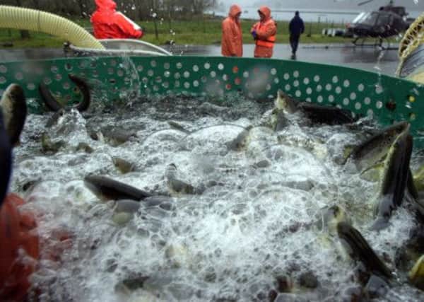 A salmon farm is set to benefit from a groundbreaking new wave energy project. Picture: Stephen Mansfield