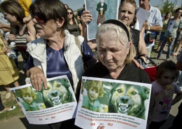 Aurica Anghel, grandmother of Ionut Anghel, a 4-year old boy who was fatally mauled by stray dogs last week. Picture: AP