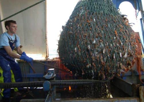 The number of fishermen employed in Scotlands fishing industry has fallen to the lowest level. Picture: TSPL