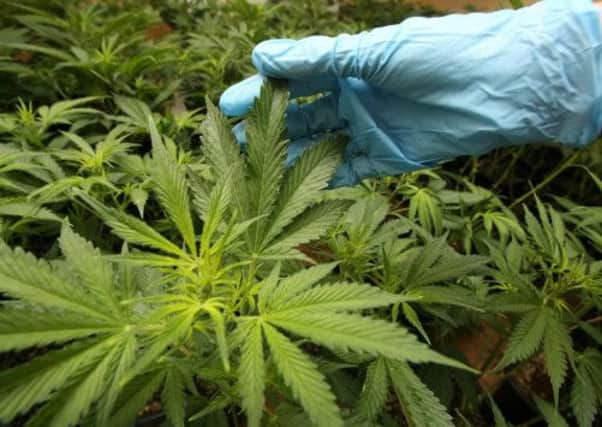 Licenced cannabis could reduce the UK government deficit, according to a new study. Picture: PA