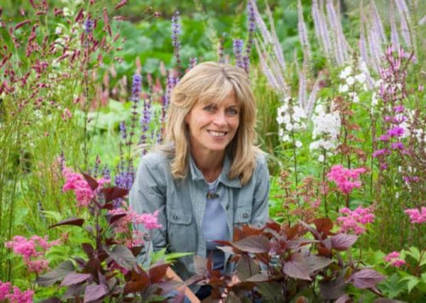 Nursery owner Chris Marchant. Picture: Jonathan Buckley