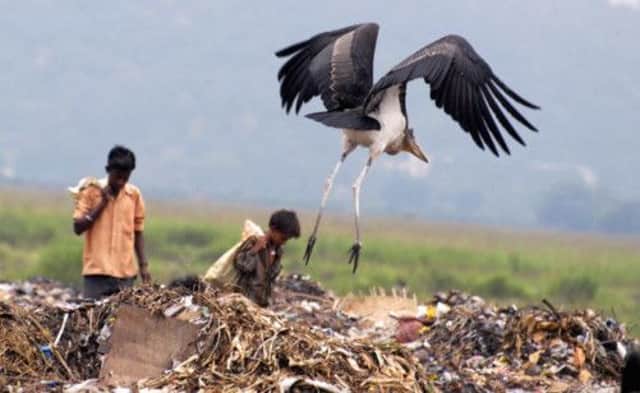 Young rag-pickers at a garbage dump in India. Picture: Getty