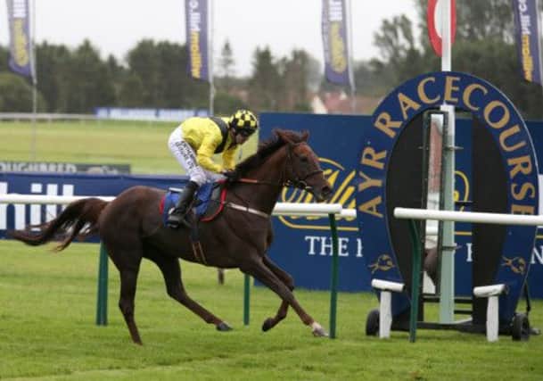 Robert Winston rides Calculated Risk to victory in The Campbell Brothers Handicap Stakes at Ayr Racecourse yesterday. Picture: PA
