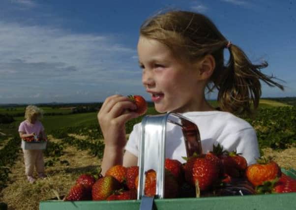 Scottish children consumed an average of just 2.7 portions of fruit and vegetables per day, according to the report. Picture: Phil Wilkinson