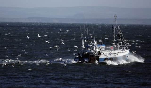 Fewer marine species, as in UK seas, may mean more vulnerability to pressures. Picture: Getty