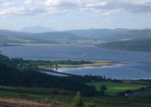 The fly is believed to exist on the shores of the Dornoch Firth. Picture: Complimentary