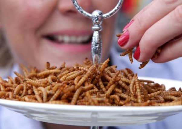 Rentokil has opened a pop-up restaurant in Edinburgh serving edible insects, meal works and crickets. Picture: Hemedia