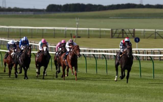 Master The World (right) wins the NGK Spark Plugs E.B.F. Maiden Stakes. Picture: PA