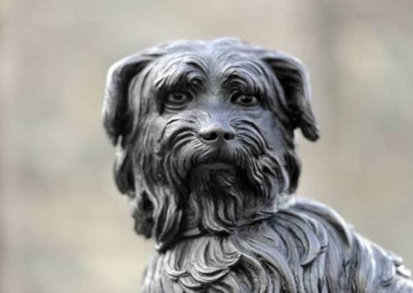 A waxed and polished Greyfriars Bobby with his new nose. Picture: Julie Bull
