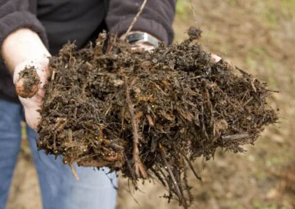 Legionella levels  may be linked to the composition of compost. Picture: Complimentary