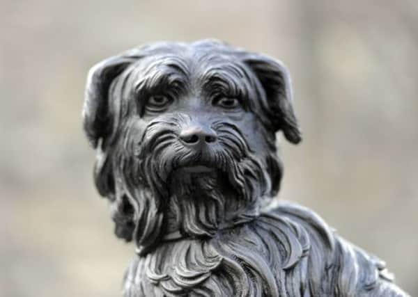 The black coating on Greyfriars Bobby's new nose has already worn away just three days after restoration work. Picture: Julie Bull