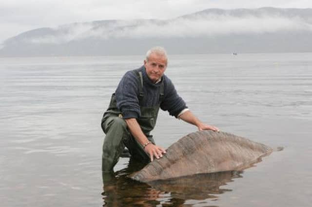 Steve Feltham with the carbon fibre "Nessie hump". Picture: Peter Jolly