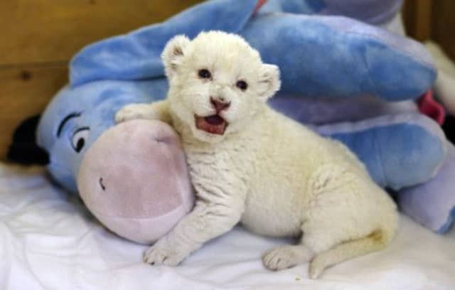 Picture: Reuters