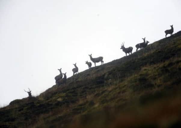 The man died while stalking deer at Loch Assynt. Picture: Phil Wilkinson