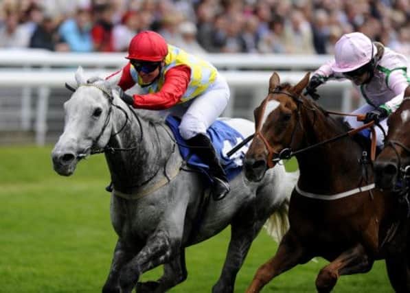Multiple Cesarewitch hopes for Scots trainer. Picture: Getty