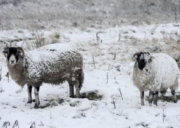 540 weather aid payments have already been processed for farmers who made losses due to the snow storms. Picture: PA