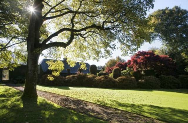 Picture: Ray Cox (www.rcoxgardenphotos.co.uk)