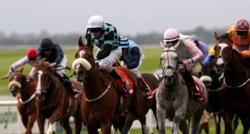 Robert Tart was at work early on Montefeltro (centre), but he got up to win the Irish Cesarewitch. Picture: PA