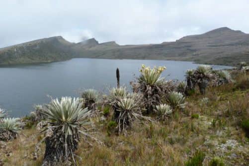 Chisacá Lake, Sumapaz National Park, Colombia. Picture: Contributed