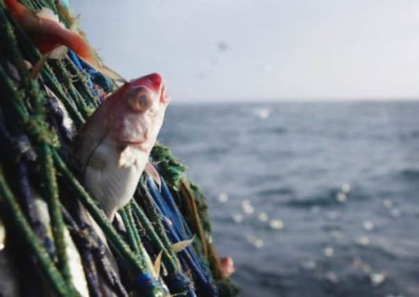 The group claims the coastal fisheries are overfished and massively under-resourced compared to England. Picture: Getty