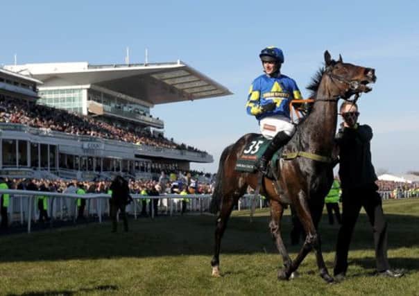 Auroras Encore ridden by jockey Ryan Mania won this year's Grand National. Picture: PA