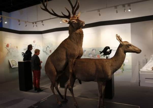 Stuffed copulating deer are displayed at the exhibition Sex and Evolution at the Natural History museum in Muenster, Germany. Picture: Reuters