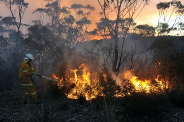 At Bell, a New South Wales Rural Fire Service volunteer tackles a blaze. Picture: AP