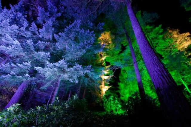 The Enchanted Forest in Pitlochry is Scotland's largest outdoor light and sound show. Picture: Graham Smith/Complimentary